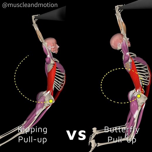 Muscle & Motion on Instagram: "💪🦋 Kipping Pull-Up vs. Butterfly Pull-Up🦋💪 Have you ever marveled at the intriguing world of pull-up variations? 👀 If you're not deeply into CrossFitTM or gymnastics, you might not realize that these are actually two distinct exercises. Join us today as we delve into these two pull-up techniques and unveil what distinguishes them! 🤸‍♂️ Kipping Pull-up: In the Kipping Pull-up, you generate momentum by pushing away from the bar. It's like a rhythmic pendulum sw