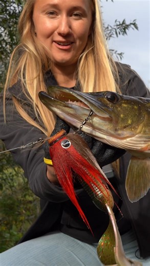 Charlie’s Fishing on Instagram: "When things don’t go as planned… switch to the Charlie’s Mustache Mouse Combo 🔥 A perfect mix of the VMC Mustache Shallow, CWC Double Tail, and the VMC Pike Chain, ready straight out of the box. 💥 Length: 20 cm 💥 Weight: 80 g Go big or go Baby, the Charlie’s Mustache Mouse Combo comes in 2 sizes, we also have the baby version available! 👉 Pick your combo & start your adventure! www.charliesfishing.com"
