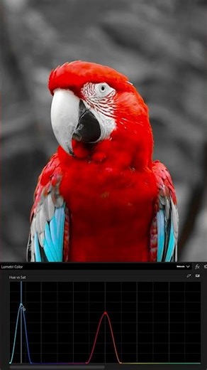 How to Isolate Saturation by Hue in Adobe Premiere Pro 🎨