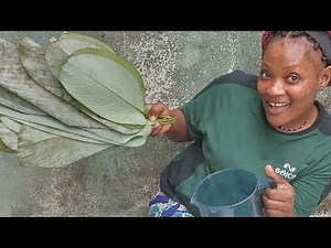 (🔴) L'Art du Bobolo : Secrets de Fabrication du Bâton de Manioc Traditionnel 🇨🇲