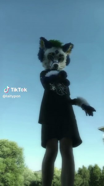 Exploring the Furry Fandom Community