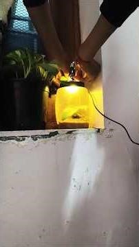 handmade bowl light
