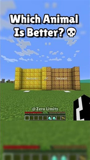 ANIMAL the SOUND 🐕🐱