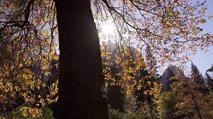 With only two weeks of fall remaining, leaves turn from gold to brown, the air becomes sharp, and cold mornings frost the edges of leaves and grasses. Even without any winter storms on the horizon, autumn in Yosemite is winding down to make way for the winter. Share with us your favorite image of Yosemite in the fall! | Yosemite National Park
