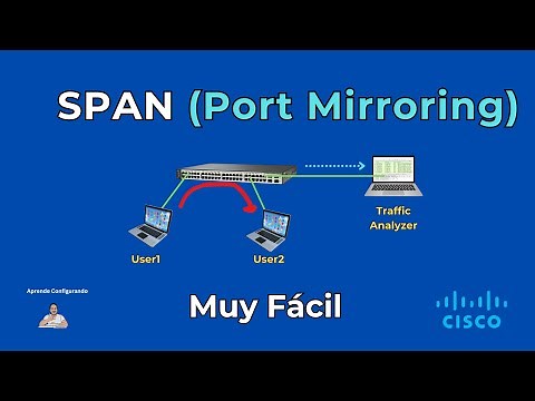 What is Port Mirroring? SPAN Configuration.