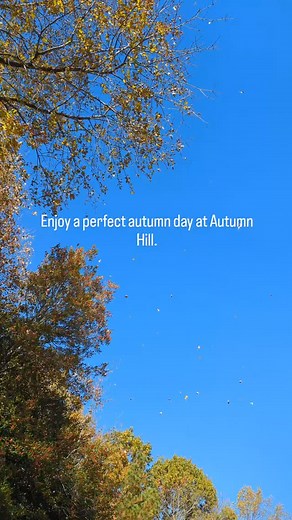 13 reactions | Well we're not called Autumn Hill for nothing. This time of the year the nursery really shines ✨❤️✨ | Autumn Hill Nursery and Landscaping | Facebook