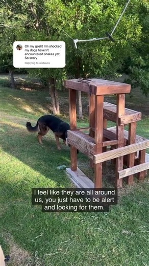 Maybe it’s just me, but any outdoor activity has me looking for 🐍🐍🐍 snakes