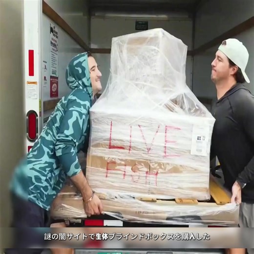 深海魚と生態ブラインドボックスの驚き