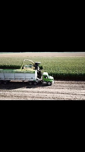 #silage #silage2022 #krone #mastrailers #trucking #farming #harvest | OCF Crew