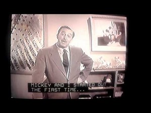 Spirit Of Mickey - Walt Disney Miniview