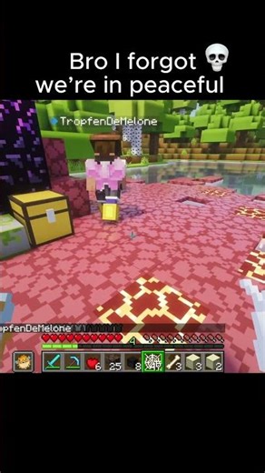 Bro, I forgot we’re in peaceful mode #minecraft