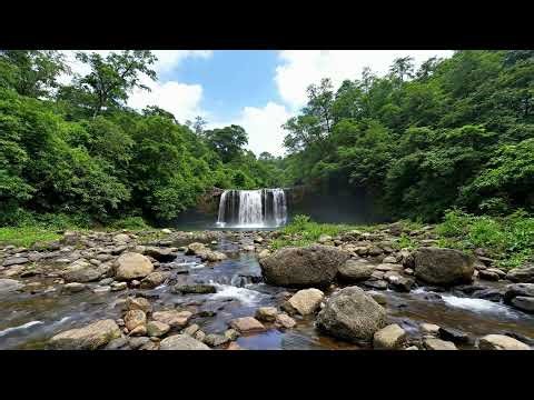 🎑 Quiet Evenings: Waterfall Sounds | 12 Hour Live