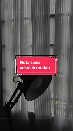 Understanding Science Notes for Primary School