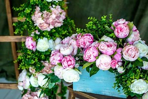 14 Crucial Reasons Peonies Won’t Bloom (And How To Fix This)