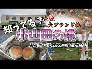 【知る人ぞ知る！】大阪2大ブランド桃『小山田の桃』を買える直売所・道の駅を一挙ご紹介