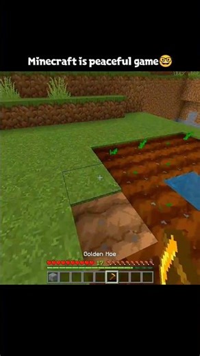 Minecraft meme...🤯