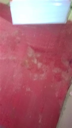 Durga Collection (@durgacollection45)’s videos with original sound - TIUMOX