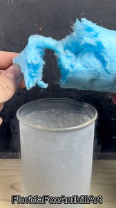 Cotten Candy 🍬 vs Liquid Nitrogen 🌧️ #science #satisfying #experiment #asmr #liquidnitrogen | Florida Foundry