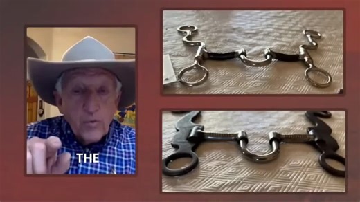 Just because you’ve got a bit in your toolbox doesn’t mean it’s the right one for a mule. Look at the difference here: my bit sits up off the table, while that horse bit lays flat. Why? Mine is designed to sit back in the palate for clearer communication without banging on the roof of the mouth. Remember, this isn’t a horse. A mule’s bars and mouth shape are different. Learn more at http://go.muleman.co/m1eeqa | Queen Valley Mule Ranch, Inc