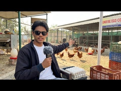 How Eggs Are Processed from Farm to Factory | Egg Processing Plant Full Tour