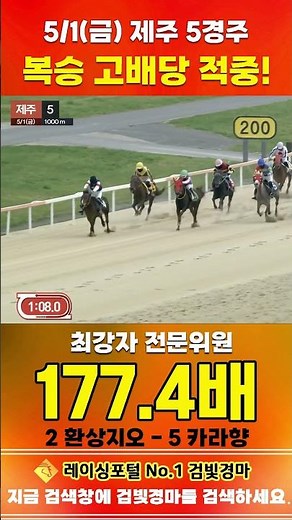 [Jeju Horse Racing] May 1st Friday Race 5, Expert Analyst's Big Win on Exacta #horseracing #horse...