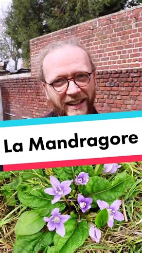 Blague sur Chourave en classe de SVT Académie