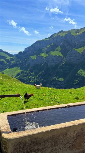 Switzerland in Summer 🇨🇭☀️ Discover the beauty of Switzerland without endless searching. Swiss Guide helps you find the most beautiful places in Switzerland, from famous highlights to hidden gems most travelers never discover 🇨🇭 › Interactive map with nearby spots › Hidden gems highlights in one app › Explore around you or plan ahead › Travel tips & real routes › Offline access anywhere One app for your entire Switzerland trip 🇨🇭 📱 Coming soon on iOS & Android 🔗 Learn more via link in bi