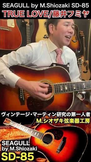 【弾き語りショート】TRUE LOVE/藤井フミヤ（使用ギター：SEAGULL by M.Shiozaki SD-85）#Shorts