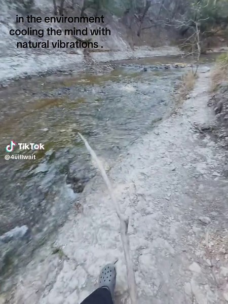 Natural Vibrations for a Calming Environment