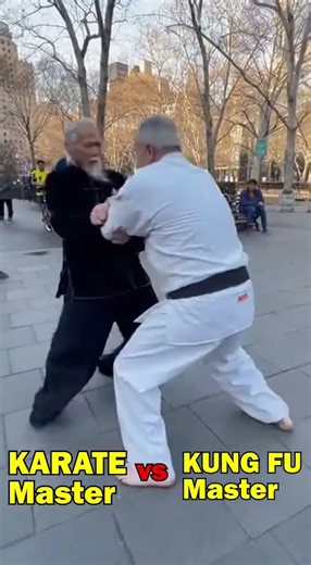 Street Fight karate vs kung fu master