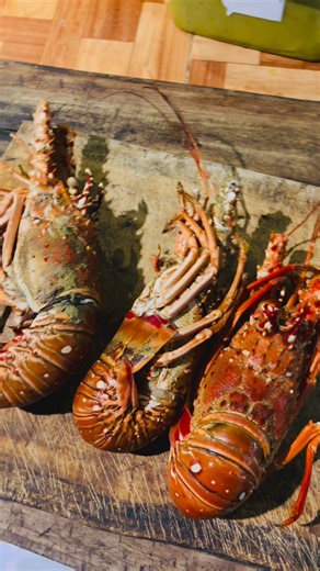 2.4K views · 91 reactions | Good morning Haiti . Cayes Jacmel , southeast Haiti // @aureliethedrama #fyp #haiti #haitiantiktok #caribbeantiktok #vlog #visithaiti #haitien #ayiti #latinostiktok | Haitians For Haiti | Facebook