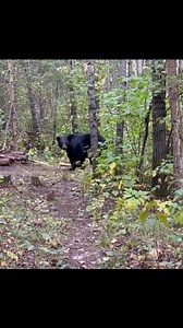 Know your reaction to change! WASP! Wildlife Awareness and Predator Safety course. Nov. 29, 2025. #outdooreducation #preparedness #landbased #corporatetraining #jordansprinciple #survival #wildlife #predator #safety | Icsos Inc.