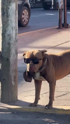 La Matrix esta en todos lados....