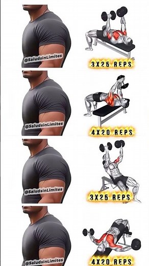 ✅ ENTRENAMIENTO DE PECHO CON MANCUERNAS #pecho #pectorales #shorts