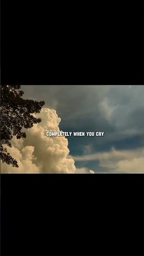 505 #lyrics #song #viral