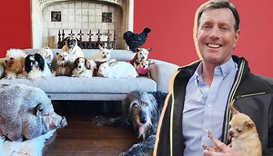 Video: Animal Lover Opens His Heart and Home to Older Dogs