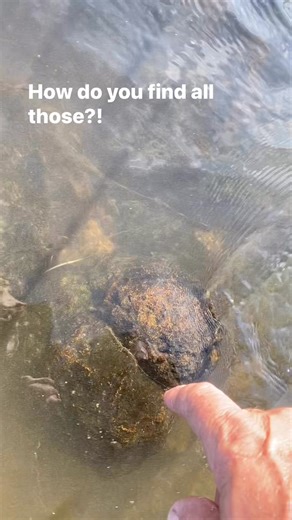 1.4K views · 20 reactions | How do you find all those #geodes #geodehunting #Kentucky #findinggeodes #howtofindgeodes #wheretofindgeodes #kentuckygeodes #rockhounding #rockhound #rockhunting | RockHunter Mark | Facebook