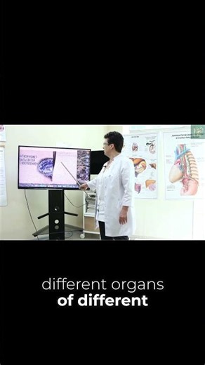 Parkinson's Disease: Multiple Origins in Different Organs