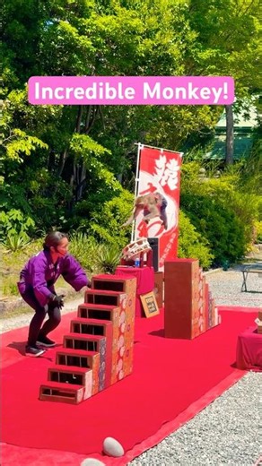 🐒 Monkey Lands a Handstand at Osaka Cast!!!