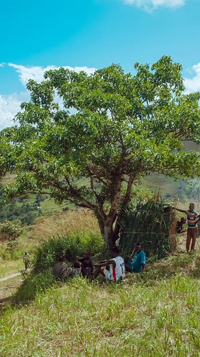 2.5K views | For the Batwa Pygmy people, trees were life. They...