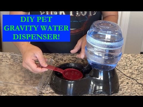 How to Make a Simple Gravity Water Dispenser for Your Pets!