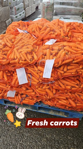 Fresh carrots in stock for your pony's or rabbits | M&S Livestock Feeds
