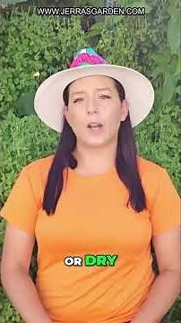 Grow HUGE Cabbages in 75 Days!