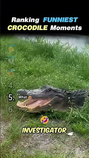 Ranking FUNNIEST CROCODILE MOMENTS Core Moments!! 🐊