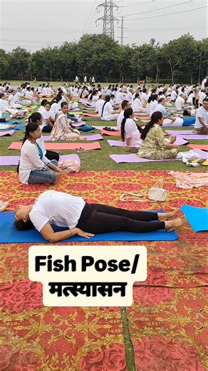 Fish Pose #fishpose #matsyasana #yoga #sunitabudhoriyoga
