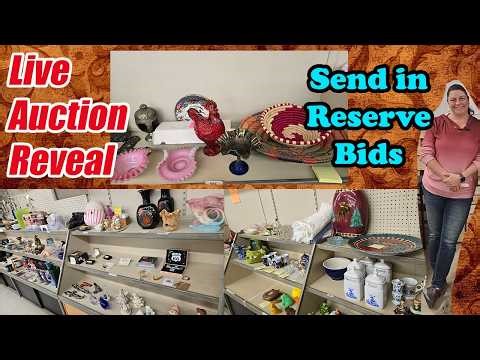 👉 LIVE Auction Reveal! Vintage Treasures, Glassware & Hidden Gems – Send in Your Reserve Bids!