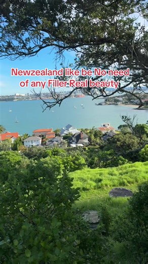 No Need any Filler Newzealand landscape real Beauty and real Advanture #newzealand🇳🇿 #advanture #newzealand🇳🇿 #aotearoa #blackcaps🇳🇿 #kiwi_🥝🥀 #nationalparknewsouthwales🇦🇺 #auckland #auckland #newzealandpr