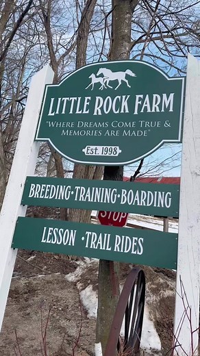 Charley Meets a Horse: A Heartwarming Farm Encounter