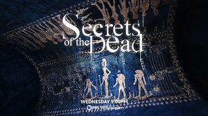 Tune in to "Secrets of the Dead" this Wednesday, June 12 at 9 on PBS Wisconsin for a review of how ancient Egyptian hieroglyphics were first translated 200 years ago, and a look at the archaeological work now being done in Egypt to understand one of the empire’s most important scribes. | PBS Wisconsin | Facebook