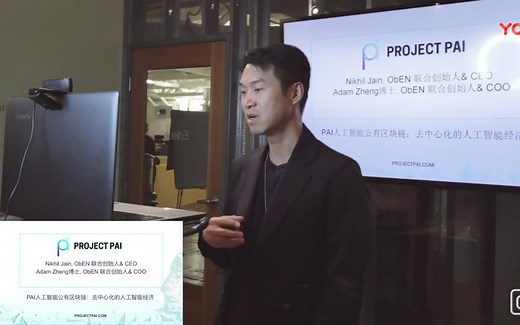 Project PAI 国内路演视频